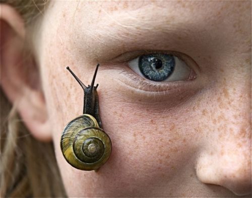 6 crèmes dégoûtantes mais absolument bénéfiques ! 6 6 crèmes dégoûtantes mais absolument bénéfiques ! 6