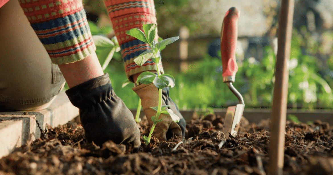 5 applications de jardinage pour Android, iPhone et iPad 6