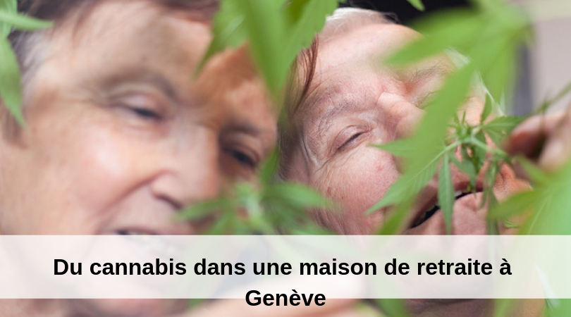 Du cannabis dans une maison de retraite à Genève 2