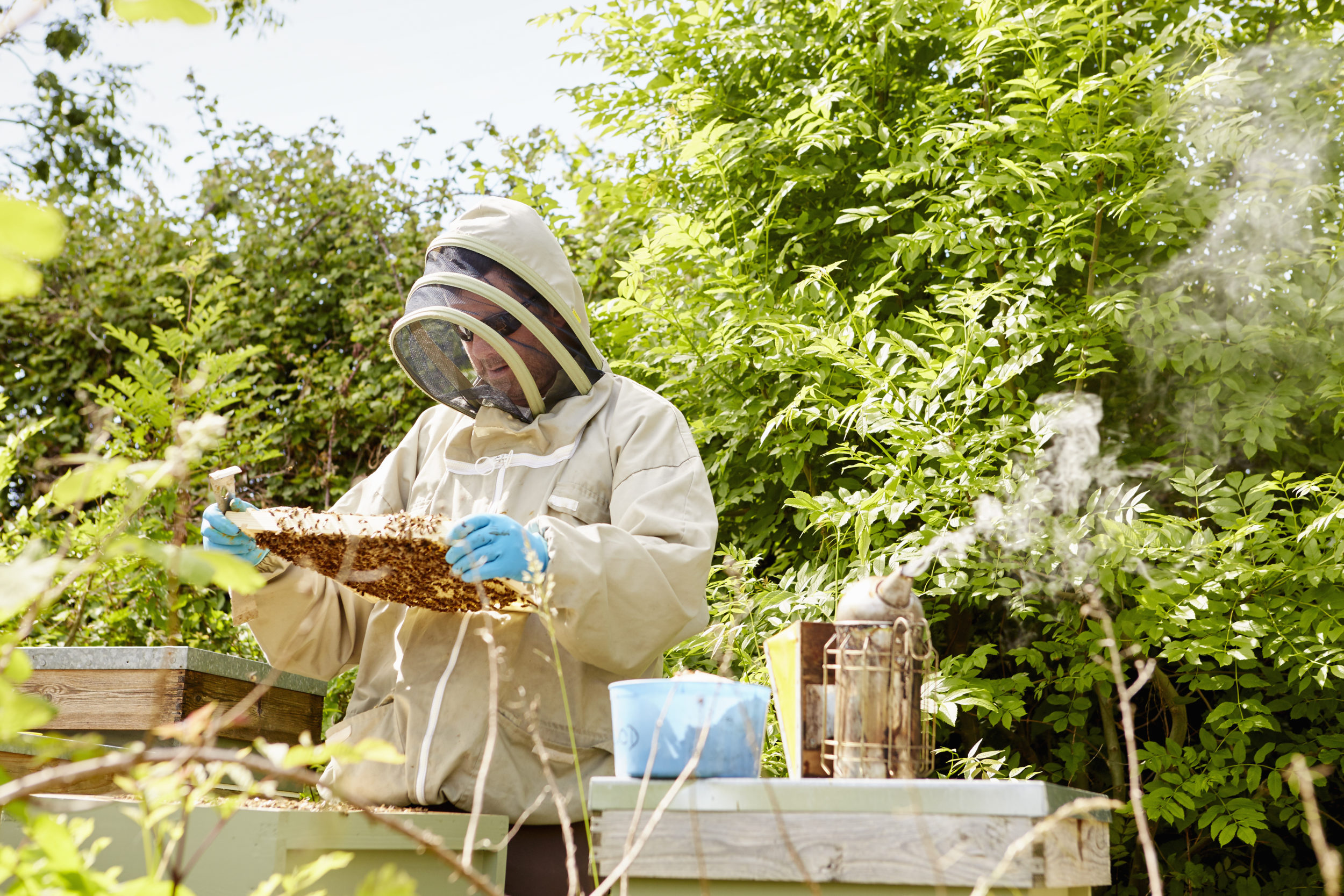 "Women for Bees", le programme Guerlain x UNESCO 10