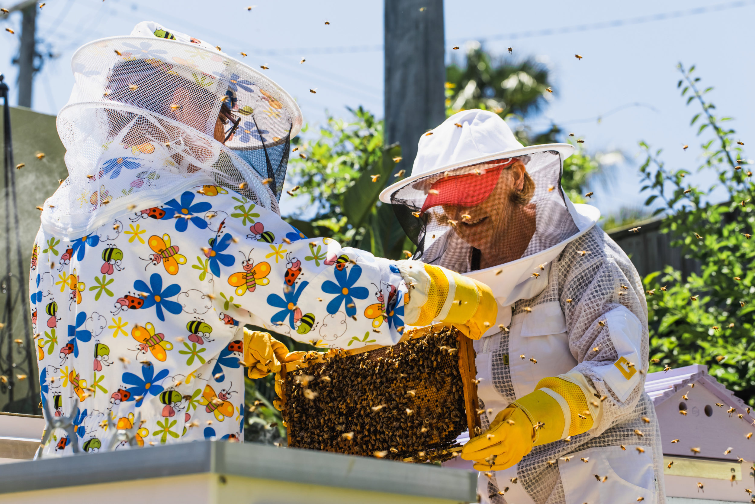 "Women for Bees", le programme Guerlain x UNESCO 11