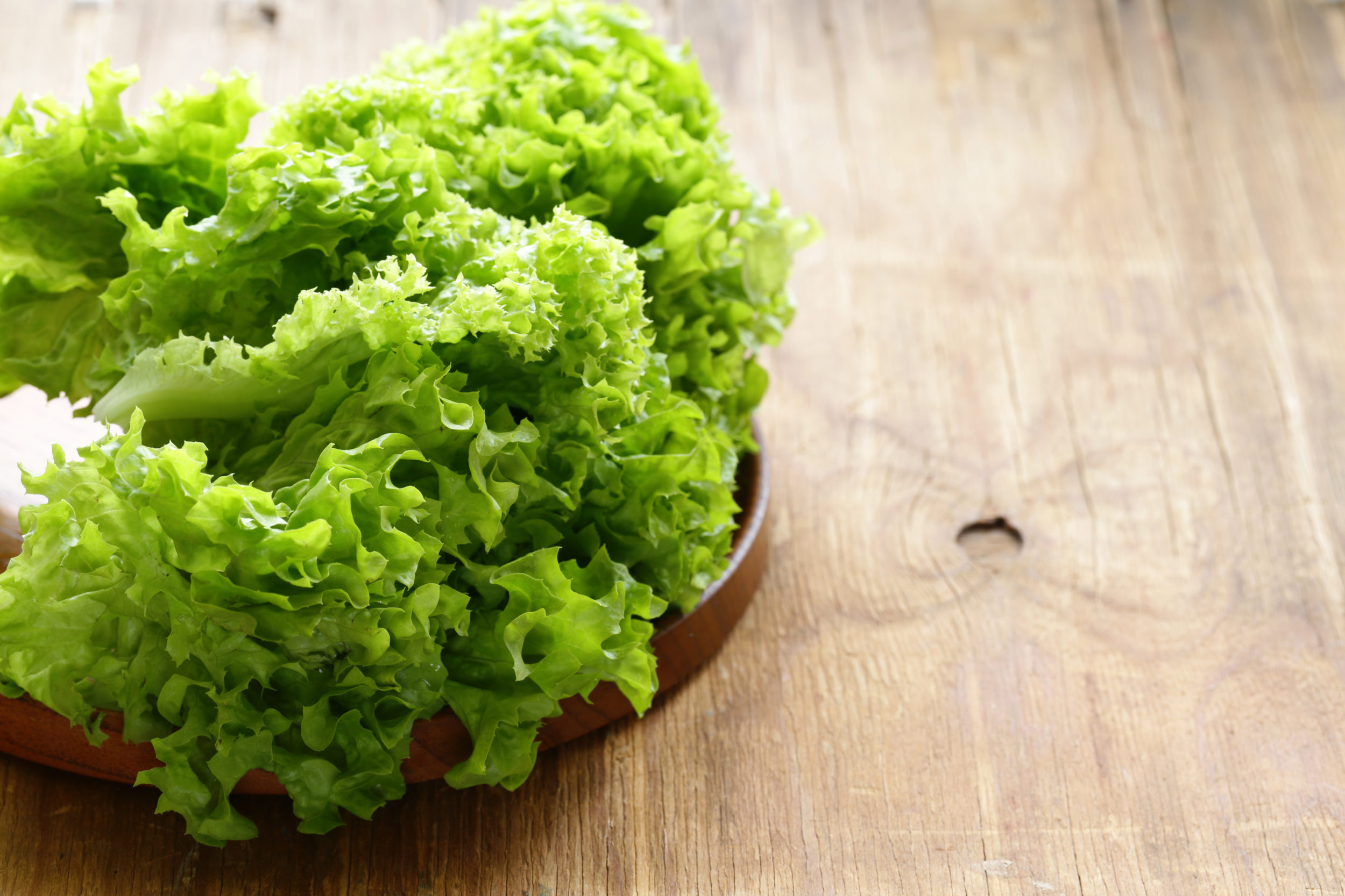 Comment conserver sa salade plus longtemps (jusqu’à 30 jours)? 91
