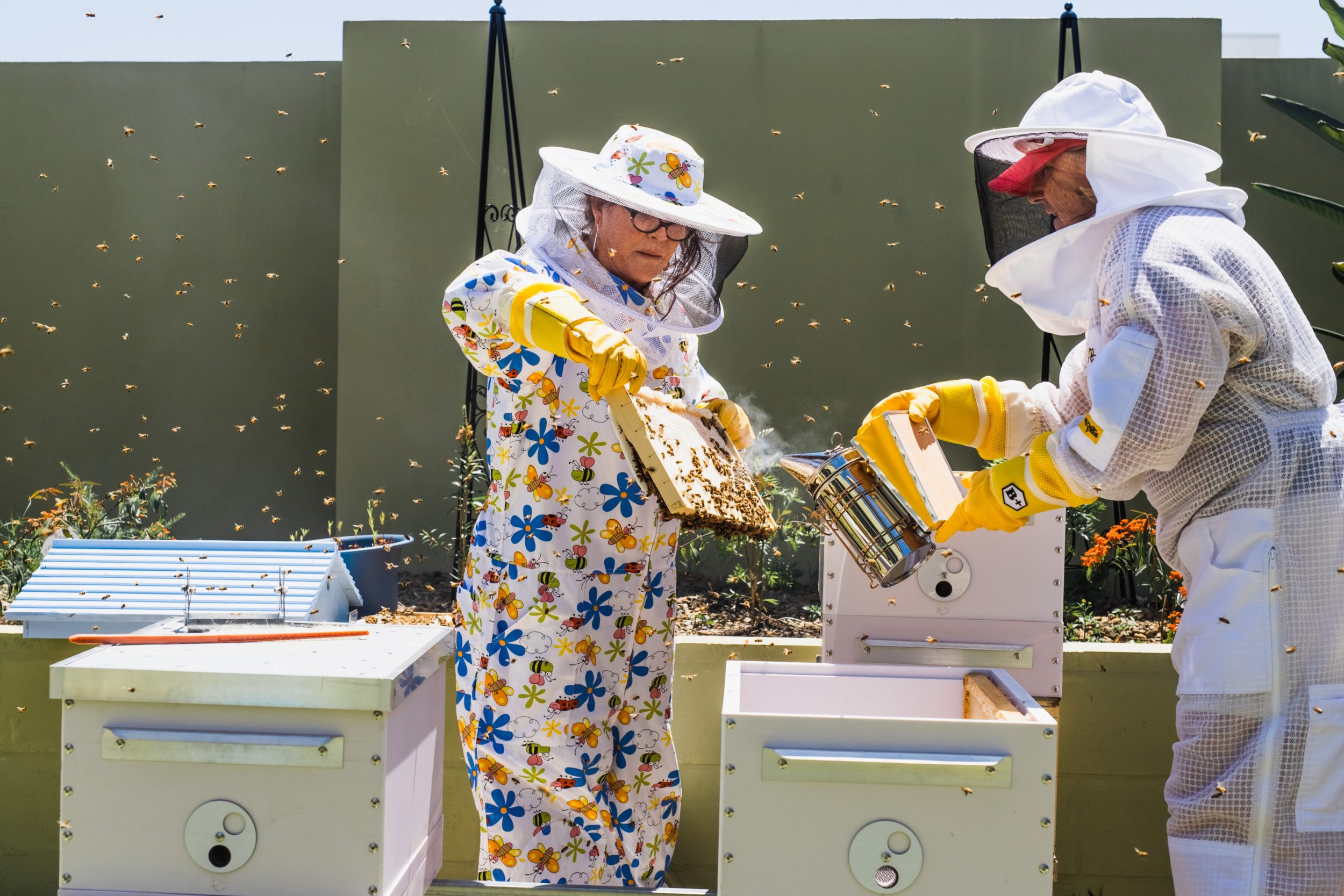 "Women for Bees", le programme Guerlain x UNESCO 14
